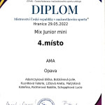 Diplom 1