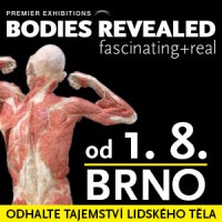 Bodies