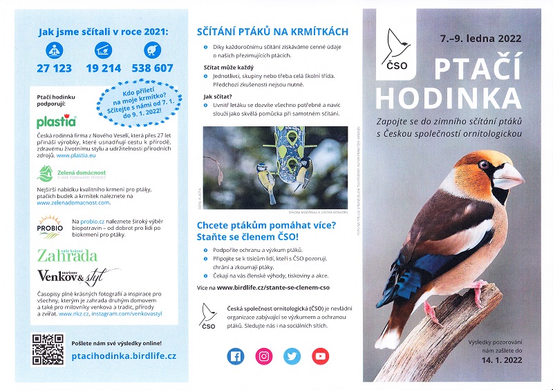 Ptačí hodinka