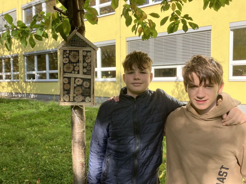 Podpora biodiverzity v okolí školy