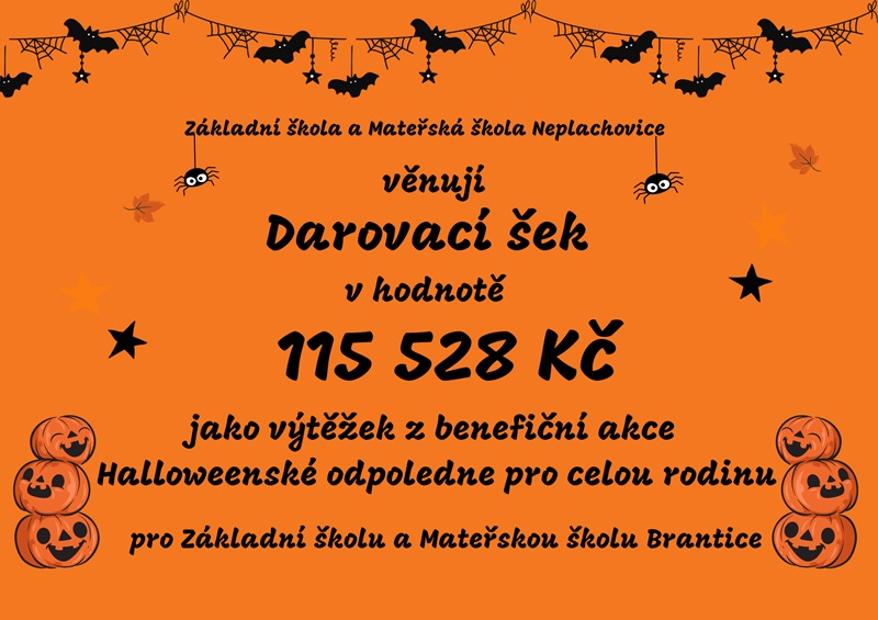 Školní benefiční charitativní odpoledne